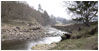 Local Walks